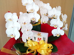 ��ʎВc�@�l �����^�����ہ[�Ƌ��� �l