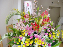 �����Ö@�l���c�ǐS�� �~���ؑ�a�@ �l