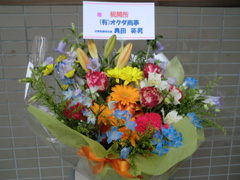 �����a�@ �n��A�g�����k�� �l