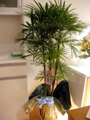 ��Ö@�l�i���� �����a�@ �l